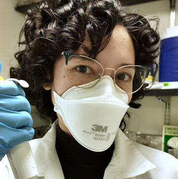 Template2448 X2456 copy